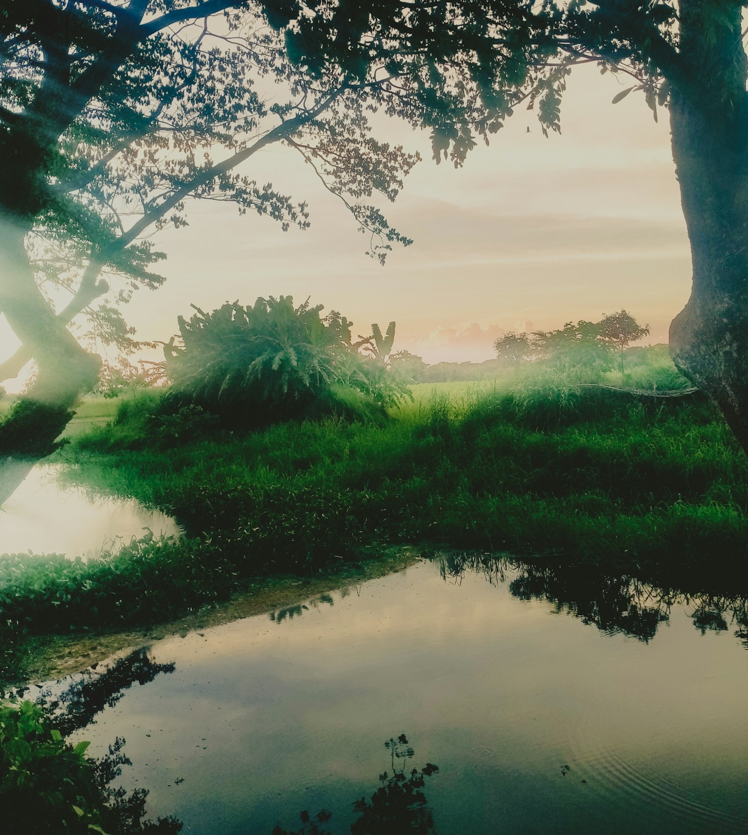 How Sustainable Livelihoods Transform Rural Economic Outcomes